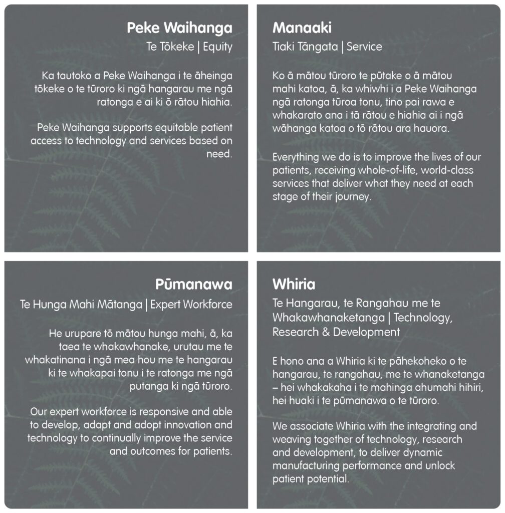 Peke Waihanga strategic objectives