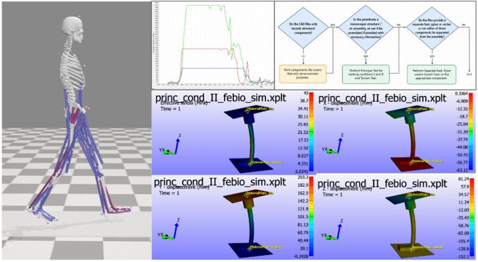 An example of the work Moritz did in reviewing simulation tools that allow us to measure the performance of both our products and the effects on residual anatomy.